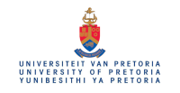 university pretoria logo