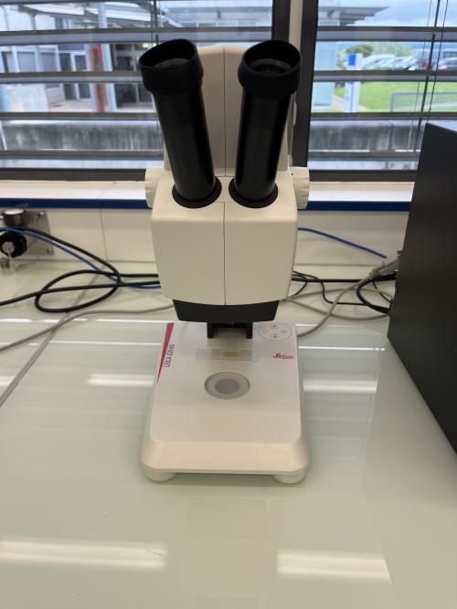 Leica EZ4 HD Digital Stereo Microscope-Photo